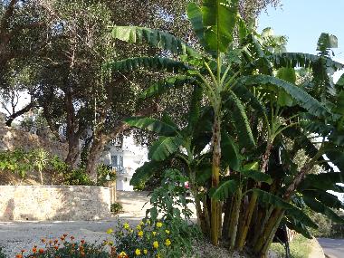 Apartamento de vacaciones en Parga (Preveza)Casa de vacaciones