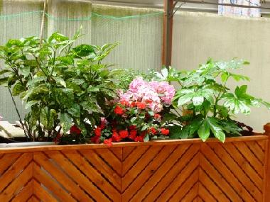 Apartamento de vacaciones en Roma (Roma)Casa de vacaciones