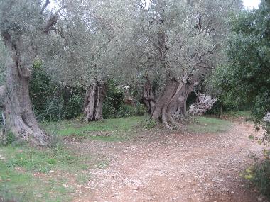 Casa de vacaciones en Paltsi (Magnisia)Casa de vacaciones