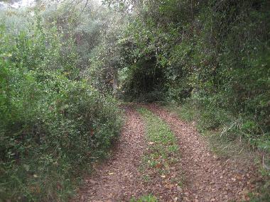 Casa de vacaciones en Paltsi (Magnisia)Casa de vacaciones