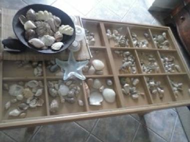 Cama y desayuno en  ΝΕΑ STIRA EVOIAS (Evvoia)Casa de vacaciones