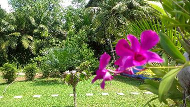 Hotel en Bentota (Galle)Casa de vacaciones