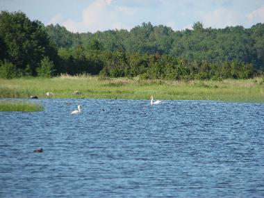 Casa de vacaciones en Rannak�la (Saaremaa)Casa de vacaciones