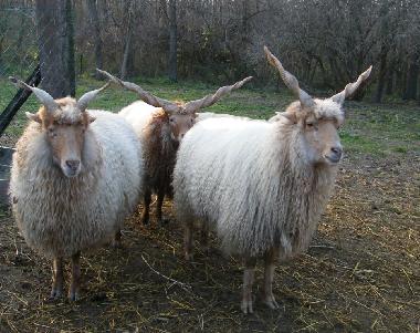 Casa de vacaciones en Dbrkz (Tolna)Casa de vacaciones