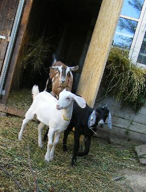 Casa de vacaciones en Dbrkz (Tolna)Casa de vacaciones