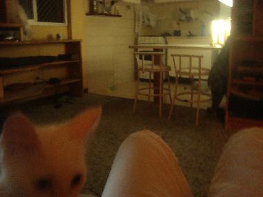 Apartamento de vacaciones en S�o Paulo (Sao Paulo)Casa de vacaciones