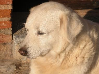 Casa de vacaciones en Orosei (Nuoro)Casa de vacaciones