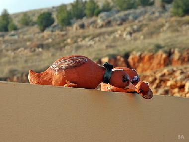 Cama y desayuno en Safed (HaZafon (Northern))Casa de vacaciones