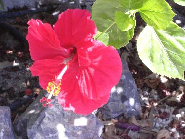 Casa de vacaciones en Mazarron (Murcia)Casa de vacaciones