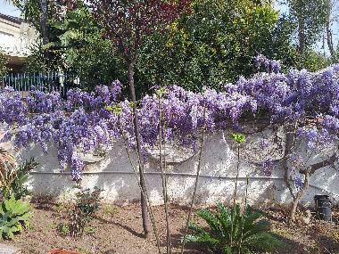 Casa de vacaciones en Gela (Caltanissetta)Casa de vacaciones