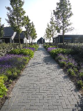 Casa de vacaciones en Kattendijke (Zeeland)Casa de vacaciones