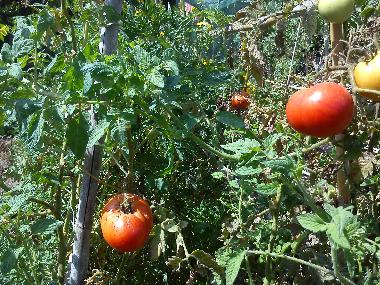 Villa en preveza (Preveza)Casa de vacaciones