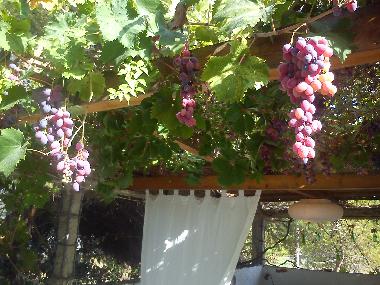 Villa en preveza (Preveza)Casa de vacaciones