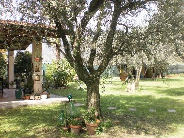 Casa de vacaciones en  Pozzi di Seravezza (Lucca)Casa de vacaciones