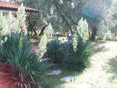 Casa de vacaciones en  Pozzi di Seravezza (Lucca)Casa de vacaciones