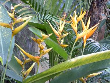 Casa de vacaciones en Bali-Ubud (Bali)Casa de vacaciones