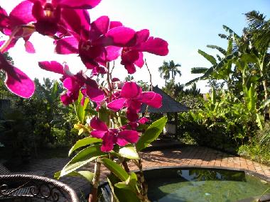 Casa de vacaciones en Bali-Ubud (Bali)Casa de vacaciones