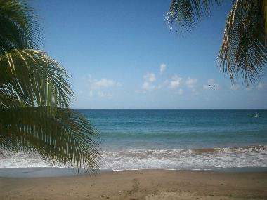 Casa de vacaciones en les anses d'arlet (Martinique)Casa de vacaciones