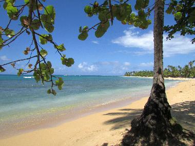 Casa de vacaciones en Las Terrenas (Samana)Casa de vacaciones