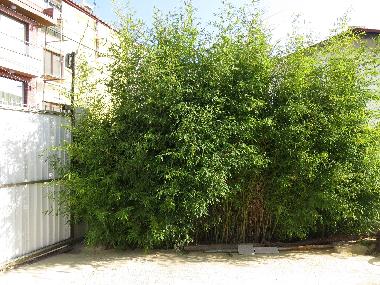 Casa de vacaciones en Varna (Varna)Casa de vacaciones