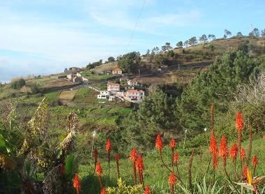 Casa de vacaciones en Faj da Ovelha (Madeira)Casa de vacaciones