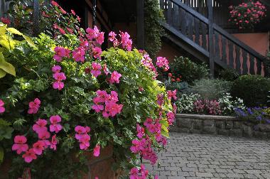 Apartamento de vacaciones en BERGHEIM (Haut-Rhin)Casa de vacaciones