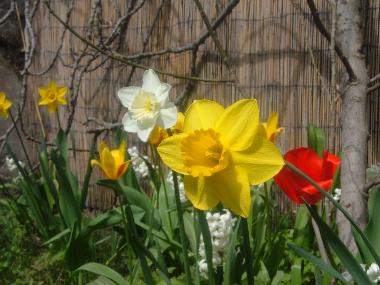 Cama y desayuno en MALAKOFF (Paris)Casa de vacaciones