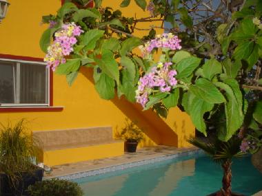 Apartamento de vacaciones en moncarapacho (Algarve)Casa de vacaciones