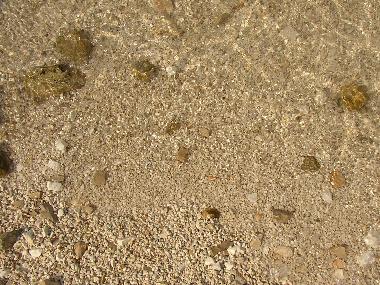 Apartamento de vacaciones en Marina (Splitsko-Dalmatinska)Casa de vacaciones