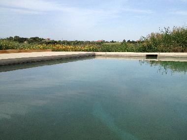Cama y desayuno en Manique do Intendente (Grande Lisboa)Casa de vacaciones