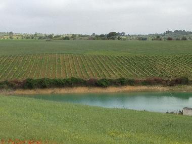 Cama y desayuno en Manique do Intendente (Grande Lisboa)Casa de vacaciones