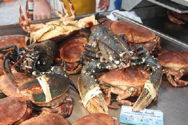 Casa de vacaciones en Plourin (Finist�re)Casa de vacaciones