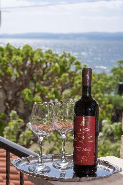 Casa de vacaciones en Duce (Splitsko-Dalmatinska)Casa de vacaciones