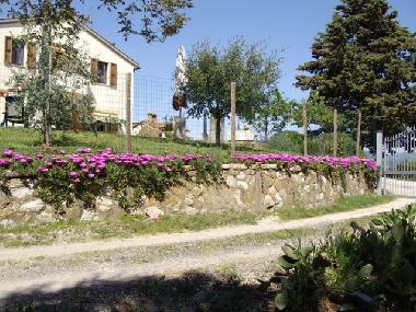 Apartamento de vacaciones en Monteverdi Mmo. Pisa (Pisa)Casa de vacaciones