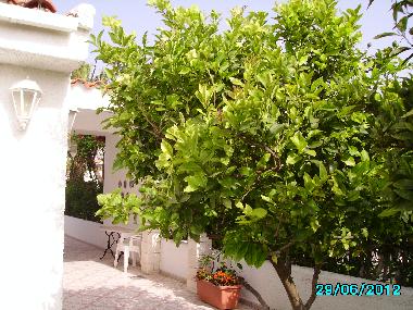Villa en Pe�iscola (Castell�n / Castell�)Casa de vacaciones