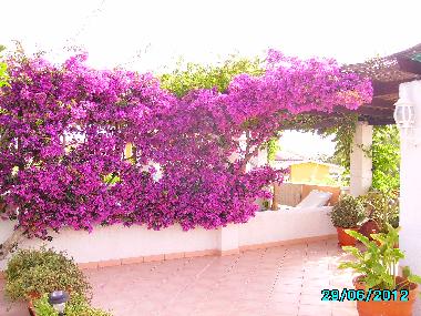 Villa en Pe�iscola (Castell�n / Castell�)Casa de vacaciones