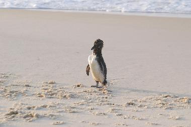 Apartamento de vacaciones en Ponta Negra (Rio de Janeiro)Casa de vacaciones