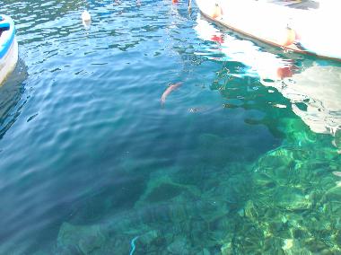 Villa en Pisciotta (Salerno)Casa de vacaciones