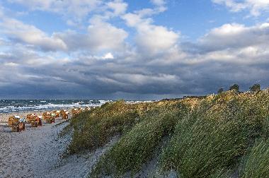 Casa de vacaciones en Ahrenshoop-Niehagen (Fischland-Dar�-Zingst)Casa de vacaciones