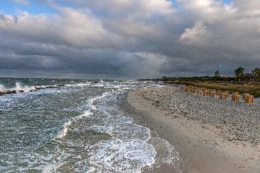 Casa de vacaciones en Ahrenshoop-Niehagen (Fischland-Dar�-Zingst)Casa de vacaciones