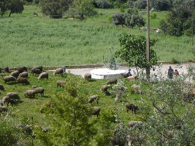 Casa de vacaciones en S�o Br�s de Alportel (Algarve)Casa de vacaciones