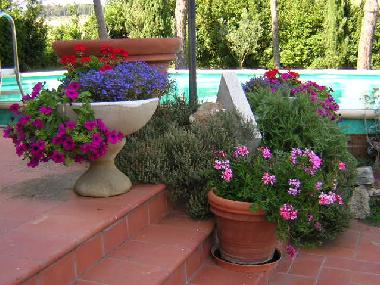 Villa en Castiglione del Lago ( Pg) (Perugia)Casa de vacaciones