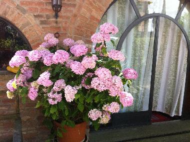 Villa en Castiglione del Lago ( Pg) (Perugia)Casa de vacaciones