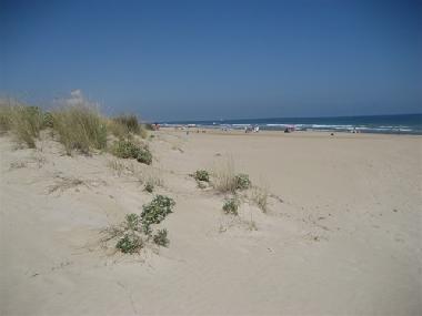 Villa en oliva (Valencia / Val�ncia)Casa de vacaciones