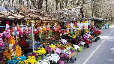 Villa en naithon (Phuket)Casa de vacaciones