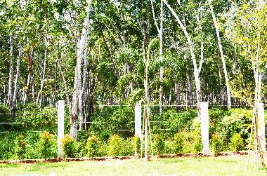 Casa de vacaciones en krabi (Krabi)Casa de vacaciones