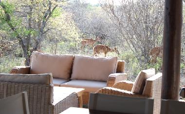 Casa de vacaciones en Hoedspruit (Northern Province)Casa de vacaciones