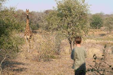 Casa de vacaciones en Hoedspruit (Northern Province)Casa de vacaciones