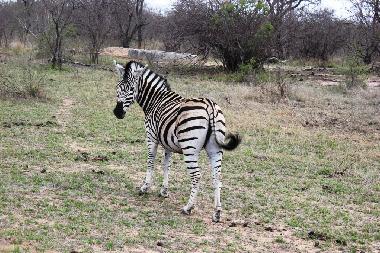 Casa de vacaciones en Hoedspruit (Northern Province)Casa de vacaciones