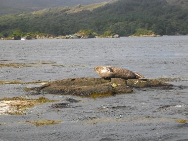 Casa de vacaciones en Tuosist (Kerry)Casa de vacaciones
